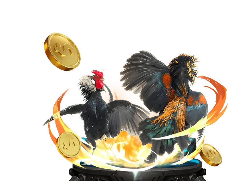 Liên hệ hỗ trợ khách hàng FB88